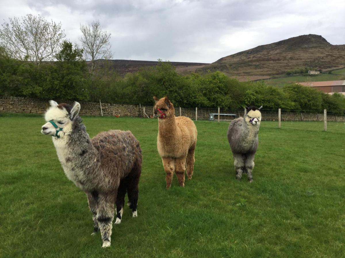 Crown Cottage Farm Skipton Eksteriør bilde